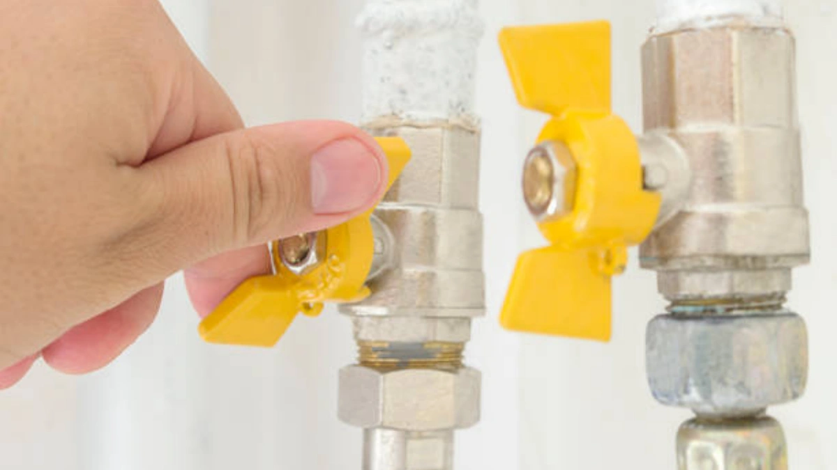 Matériaux du noyau de valve : résistance et longévité