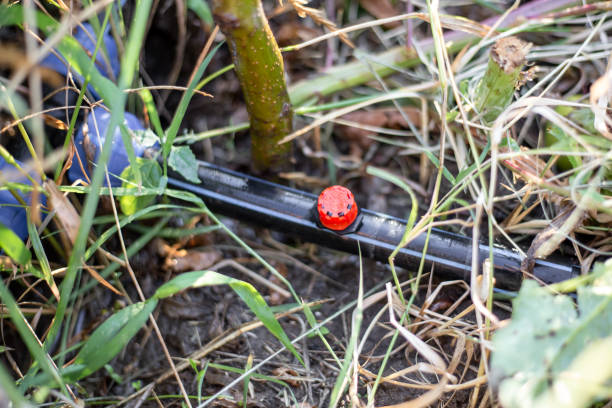 Fournisseurs de Tuyaux en PEHD Économiques et Écologiques