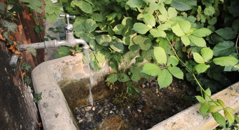 Le robinet de salle de bain en or une structure au service