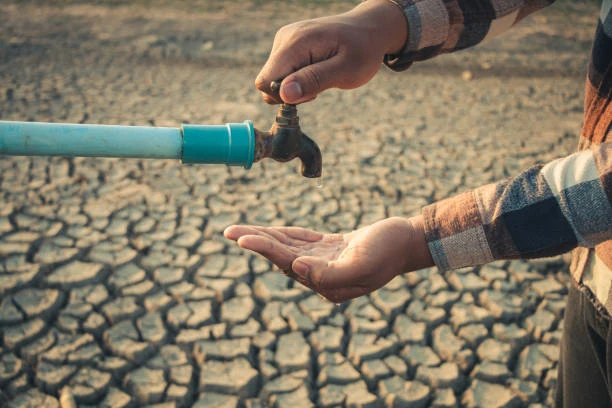 Analyse des consommateurs concernant les robinets de cuisine