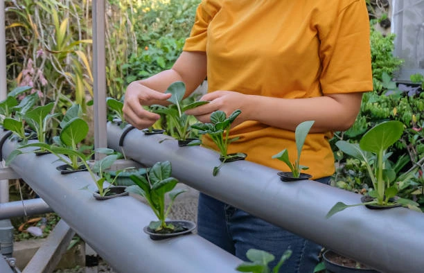 Tuyaux d’irrigation en PVC : Plus de débit, meilleures récoltes