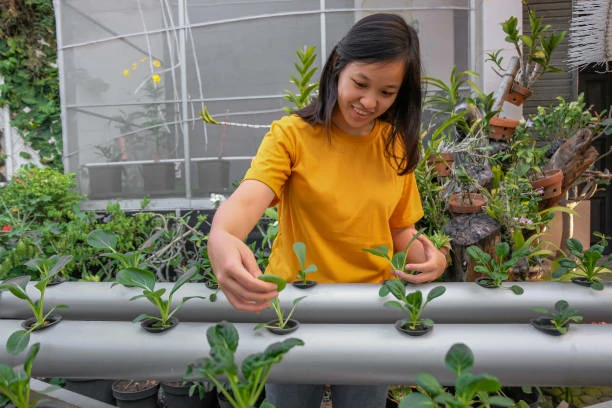Using PVC Pipes in Irrigation Systems Benefits