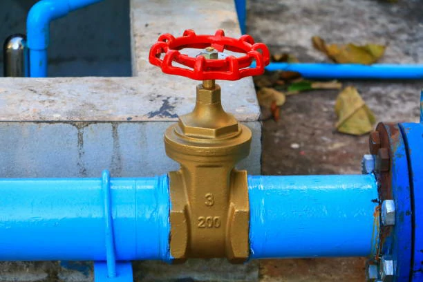 High-Temperature Resistance in Check Valves