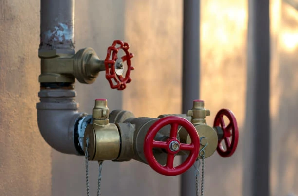 Technical Barriers in Check Valves Development