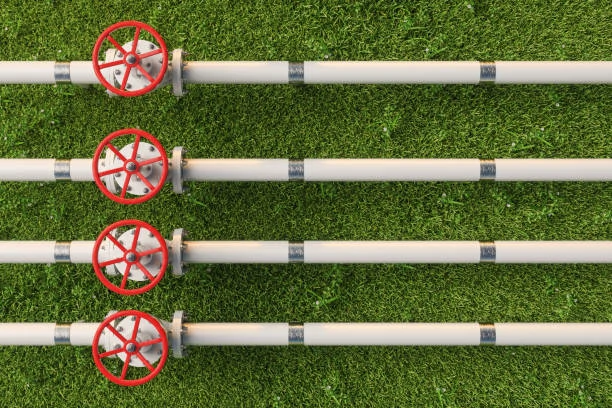 Energy Efficiency and Cost Savings with PPR Plumbing