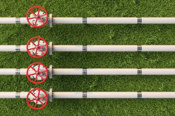 Bidet Deep Maintenance Prolongs Equipment Lifespan