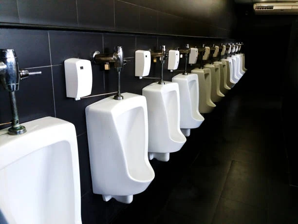 Wall-Hung Sanitary Ware Toilets: Pros and Cons