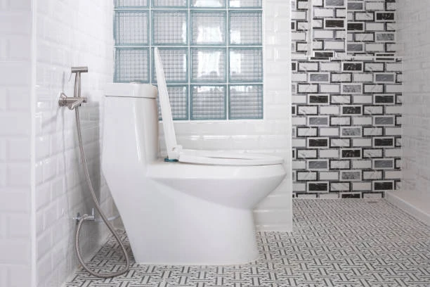 Essential Bathroom Sanitary Wares for Every Renovation Project