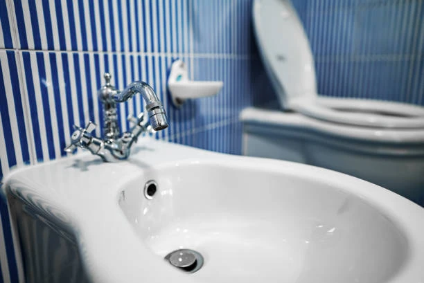 Sanitary Ware Basins: Styles, Materials, and Installation Tips